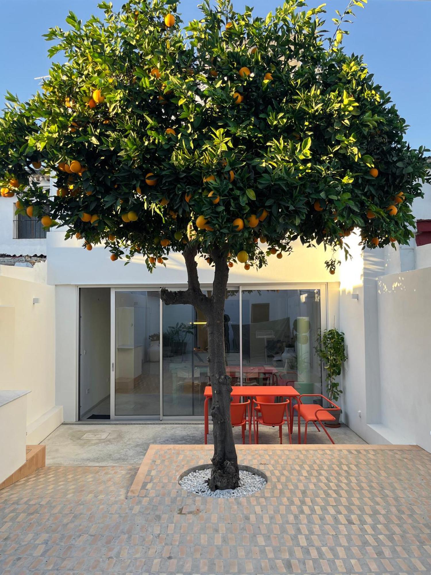 Design & Art, Patio With Orange Tree, Near Seville Carrion de Los Cespedes Εξωτερικό φωτογραφία